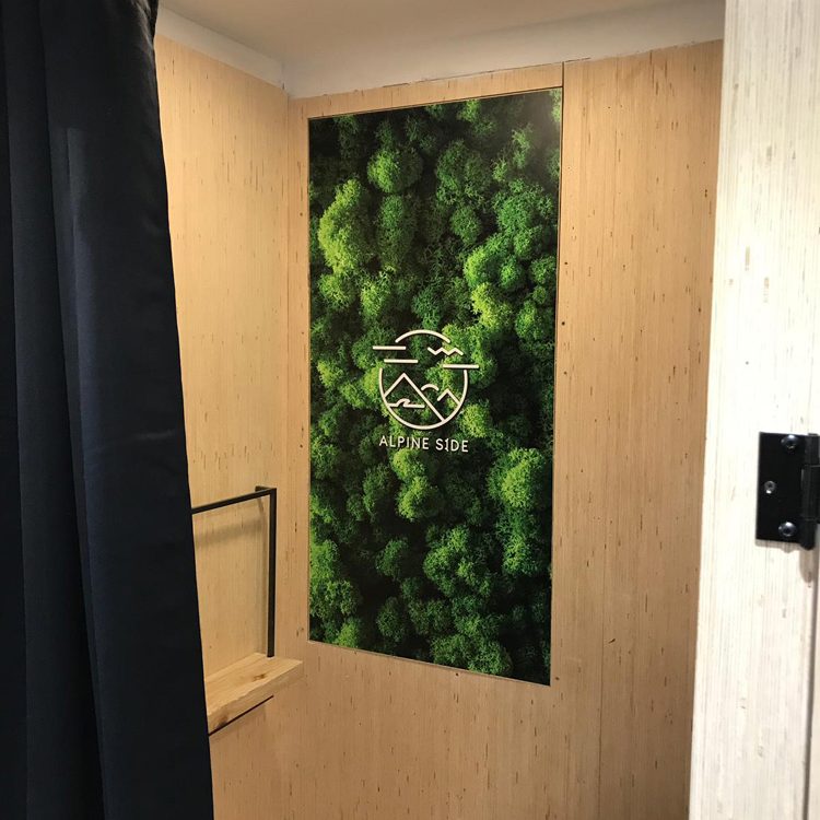decoration-murales-montfort-1